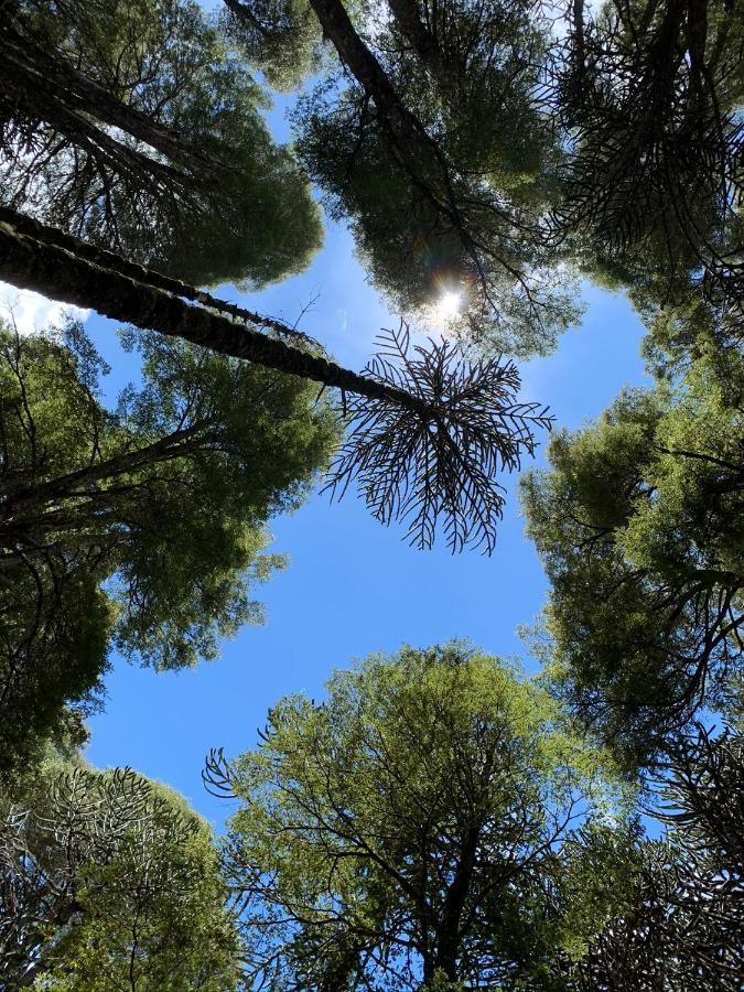 Domo Conguillio Conecta Con Tu Energia Sagrada Junto Al Salto Truful Truful Con Una Vista Majestuosa Que Podras Disfrutar En Una Tinaja Una Experiencia Que Alineara Tu Espiritu Y Tu Energia Interior Vivelo Melipeuco Bagian luar foto