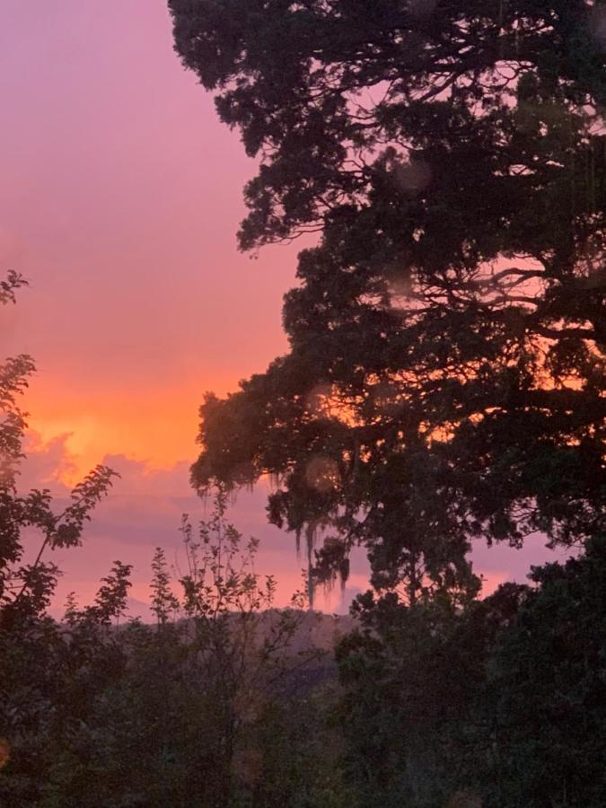 Domo Conguillio Conecta Con Tu Energia Sagrada Junto Al Salto Truful Truful Con Una Vista Majestuosa Que Podras Disfrutar En Una Tinaja Una Experiencia Que Alineara Tu Espiritu Y Tu Energia Interior Vivelo Melipeuco Bagian luar foto