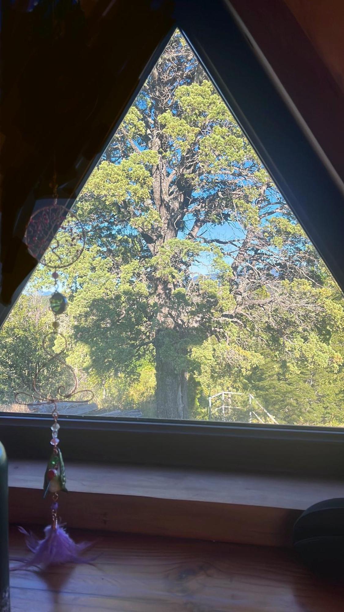 Domo Conguillio Conecta Con Tu Energia Sagrada Junto Al Salto Truful Truful Con Una Vista Majestuosa Que Podras Disfrutar En Una Tinaja Una Experiencia Que Alineara Tu Espiritu Y Tu Energia Interior Vivelo Melipeuco Bagian luar foto